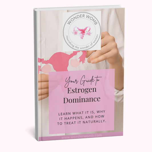 Estrogen Dominance Guide